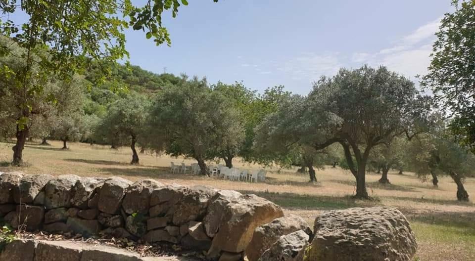 Regia Trazzera Hotel Ragusa Bagian luar foto
